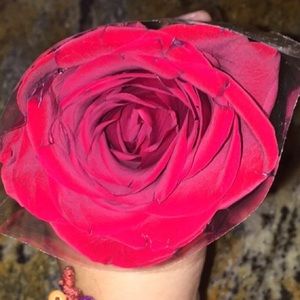 Meet your Posher, Daisy